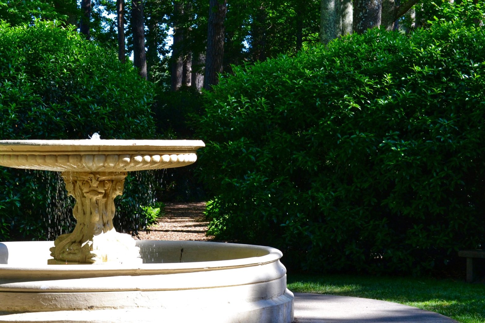 Explore Norfolk Botanical Garden: A Year-Round Oasis