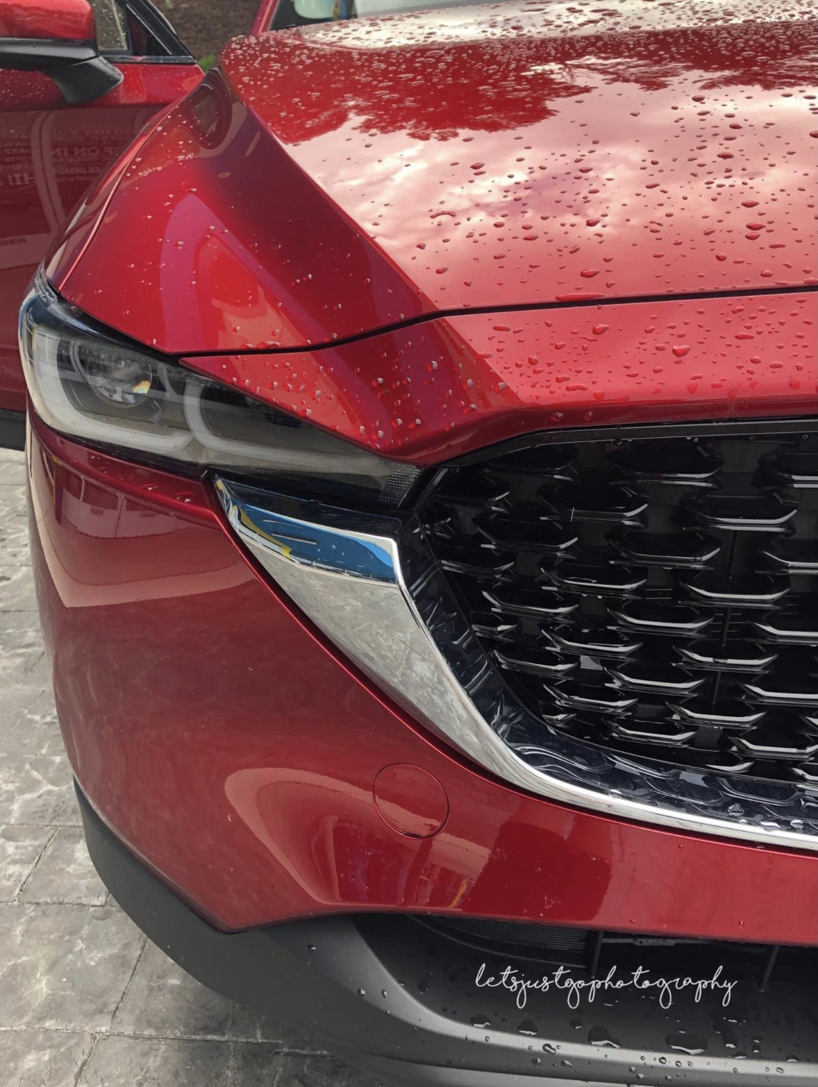 How to Prepare for a Stress-Free Road Trip